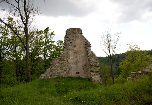 Zřícenina hradu Brandýs